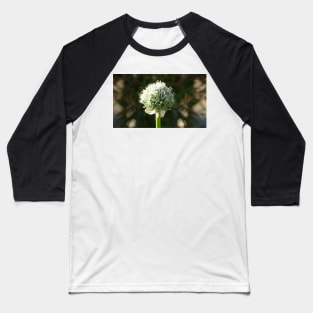 White Onion Flower by Avril Thomas Baseball T-Shirt